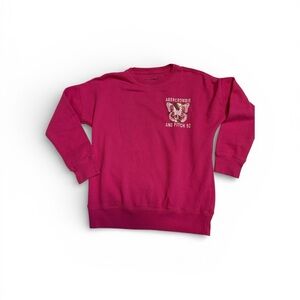 Abercrombie & Fitch Kids Magenta Sweatshirt